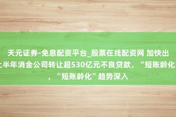 天元证券-免息配资平台_股票在线配资网 加快出清风险！上半年消金公司转让超530亿元不良贷款，“短账龄化”趋势深入