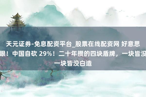 天元证券-免息配资平台_股票在线配资网 好意思国傻眼！中国自砍 29%！二十年攒的四块盾牌，一块皆没白造