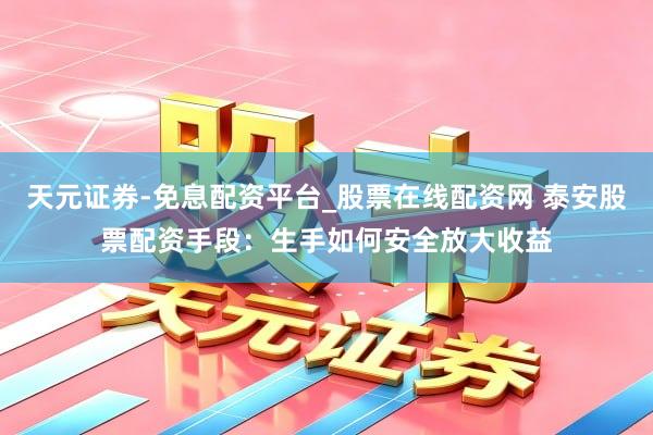 天元证券-免息配资平台_股票在线配资网 泰安股票配资手段：生手如何安全放大收益